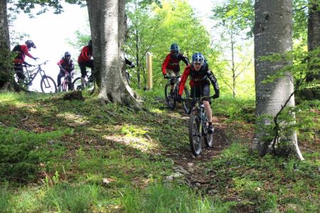 Spust po progi 888, Mojca Žnidaršič